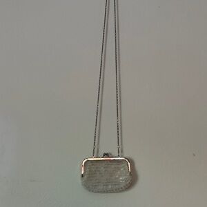 Elegant Silver Evening Clutch